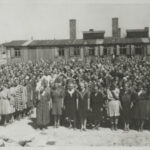 Femei prizoniere la Auschwitz | sursa: wikipedia.org