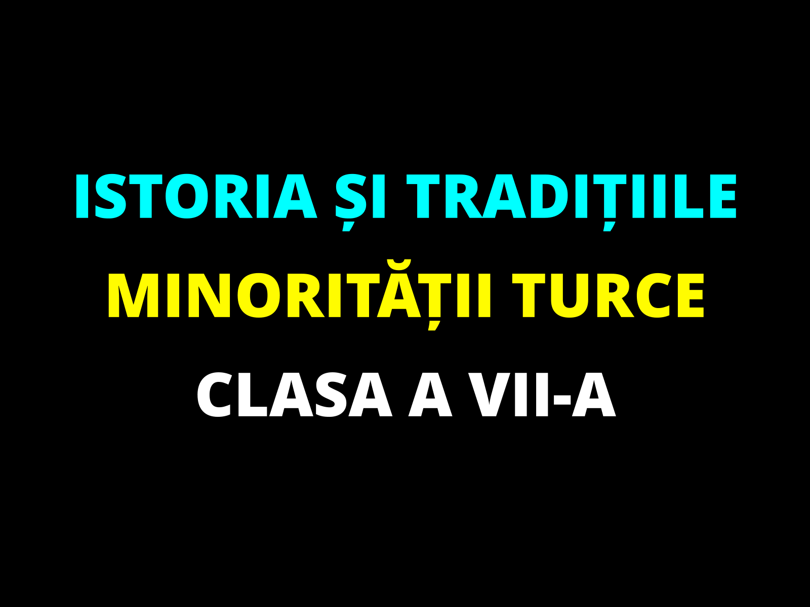 Istoria și tradițiile minorității turce – clasa a VII-a