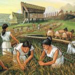 Practicarea agriculturii în neolitic | sursa: the-origins-of-agriculture.blogspot.com